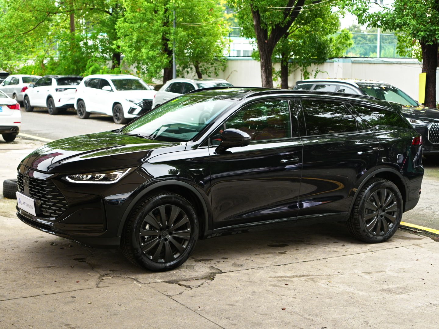 BYD TANG DM-i 2025