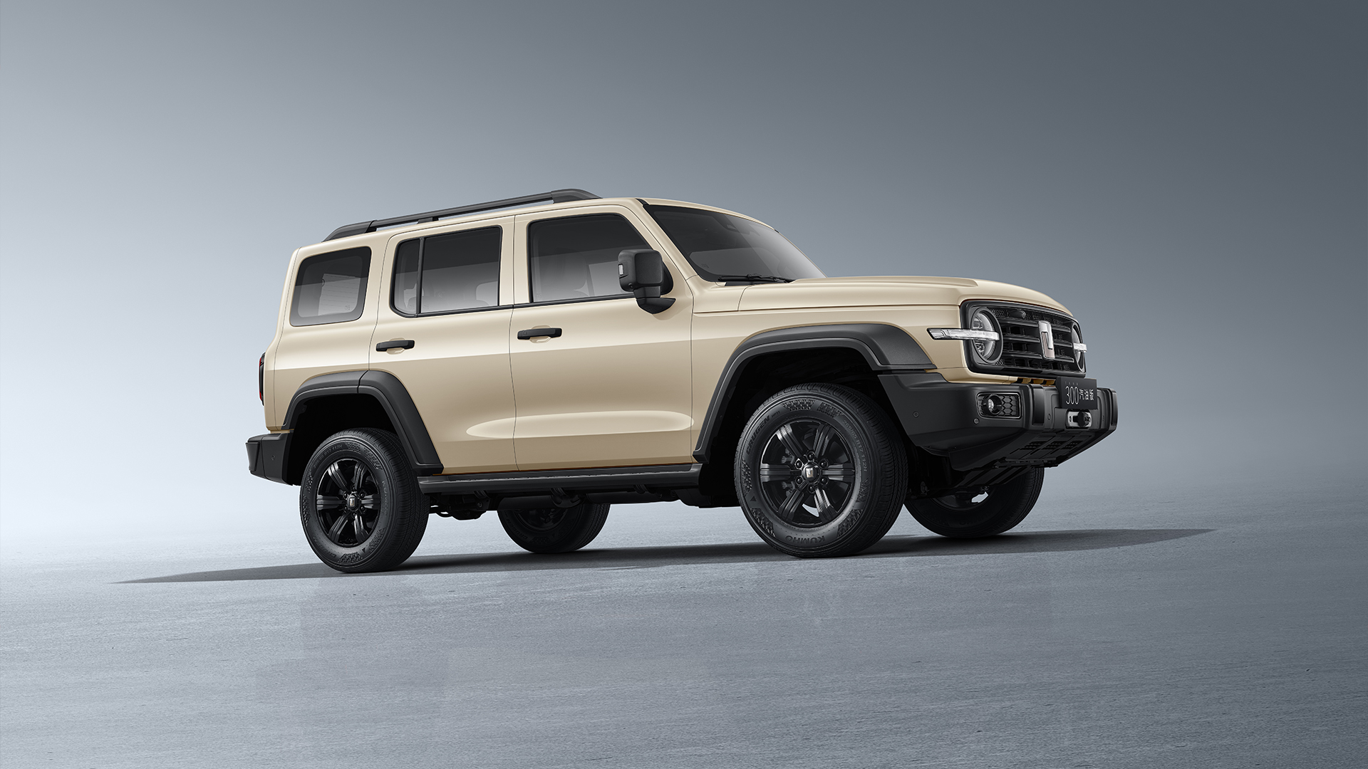 Great Wall Tank 300 2025 - 8