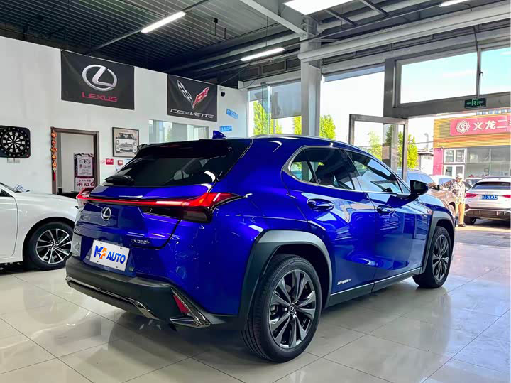 Lexus UX (Import) 2020 Model UX260h F SPORT CVT Automatic - 11