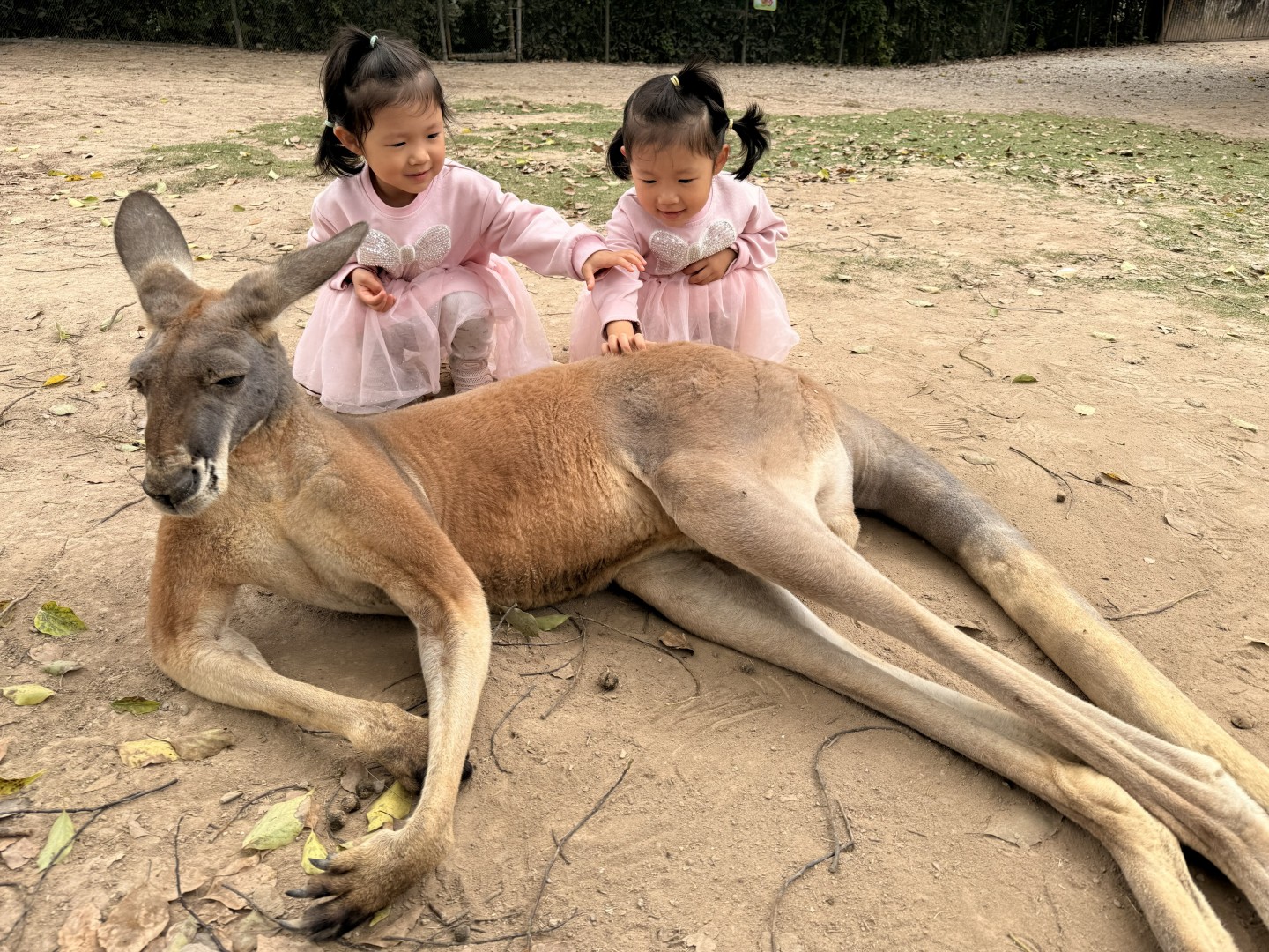 人物成长