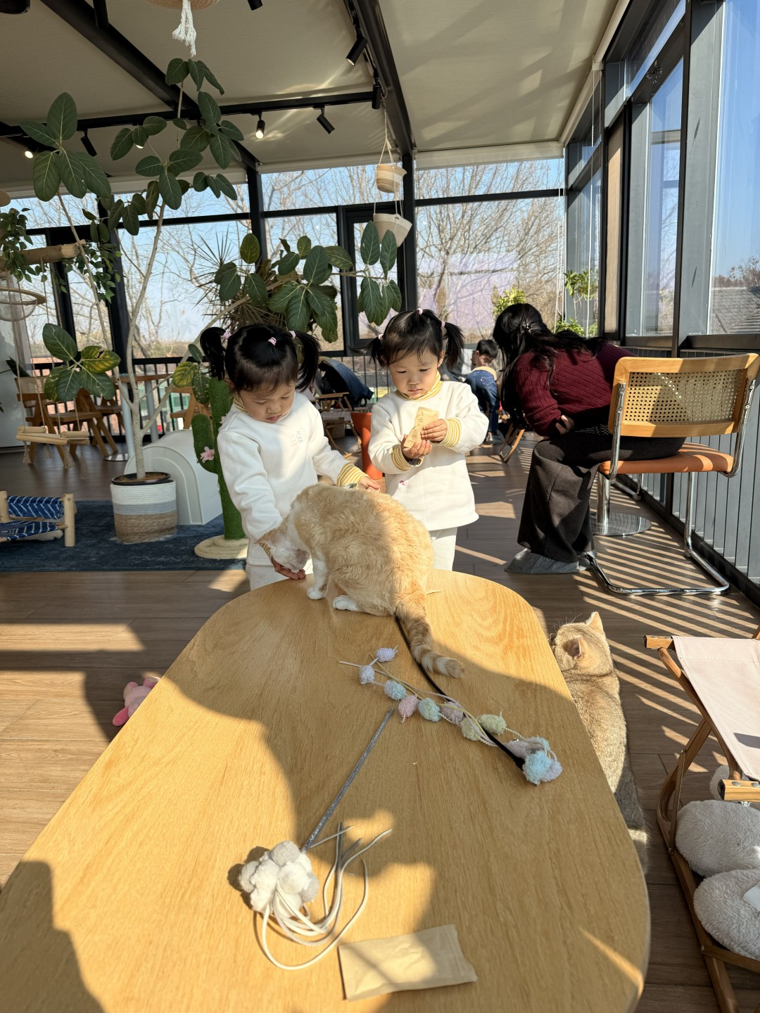 这天我们去了太阳岛(照片中怎么少了小孩呢? 她去当摄影师啦)